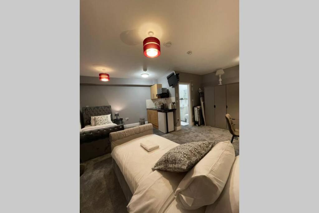 Spacious, Bright Twin Studio Apartment Londres Exterior foto